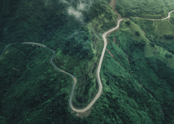 Ormanlık alan ve sürdürülebilirlik